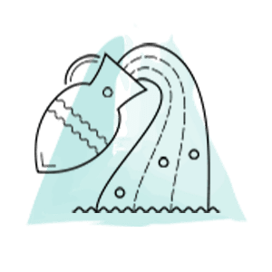 h11